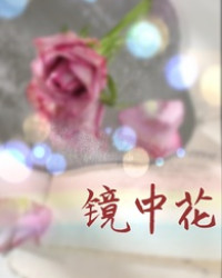 鏡中花（娛樂圈 H）